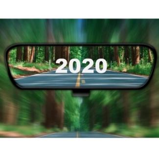 2020 rearview 450